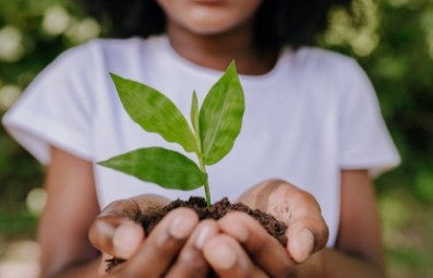 Protección de los seres vivos y del medio ambiente