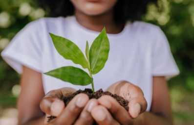 Protección de los seres vivos y del medio ambiente